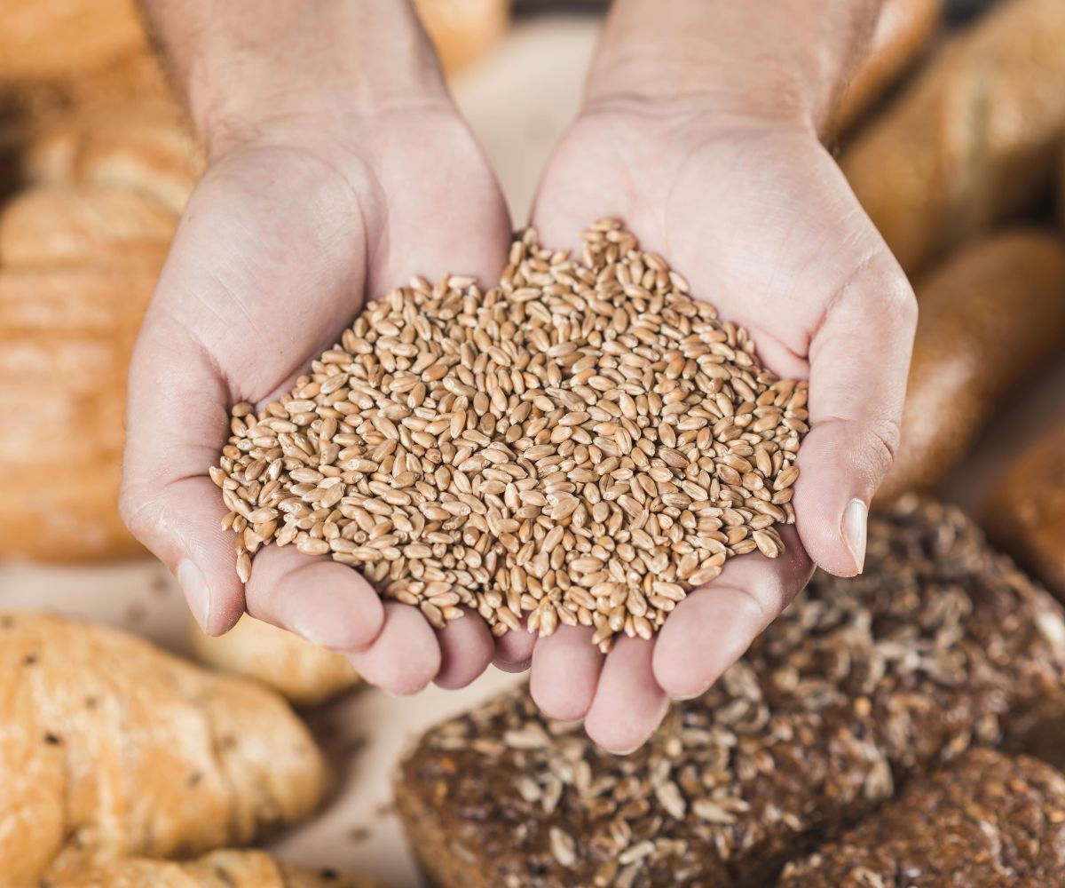 ¡Súper alimentos para combatir la diabetes! Descubre 5 granos y